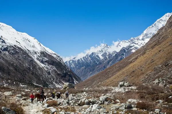 Langtang Region Treks